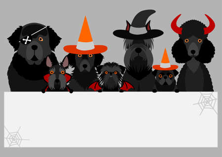 black halloween dog with white boardのイラスト素材