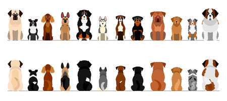 large dogs border border set, full length, front and backのイラスト素材
