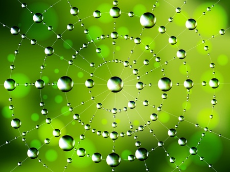 Background of the spider web with dew dropsのイラスト素材