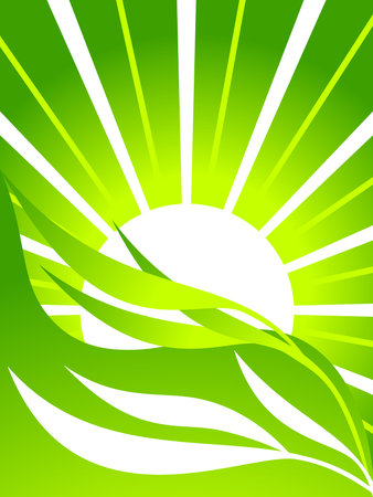 Ecological background with leaves against the background of the rising sunのイラスト素材