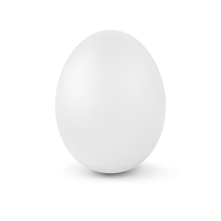 Realistic vector white egg isolated on white background.  Object design elementのイラスト素材