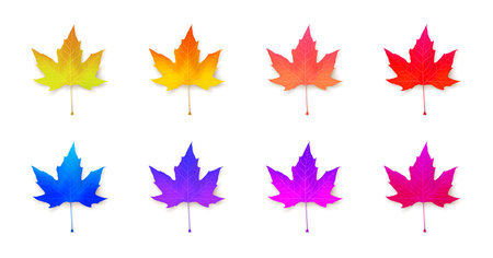 Set of vivid maple leaves of unusual, neon colors. Design collection. Seasonal autumn abstraction....