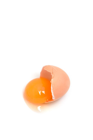 egg in shell on white background in studio