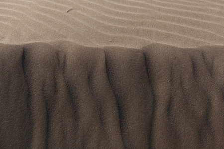 desert sand dunes background with copy space