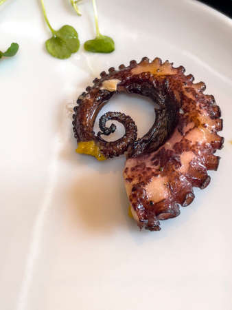 top and close view plated octopus leg isolated. Chef restaurant food.の写真素材