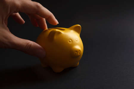 hand picking up yellow piggy bank on black background. Savings concept, home economy.の写真素材