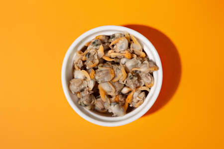 top view plated cockles cap with orange backgroundの写真素材