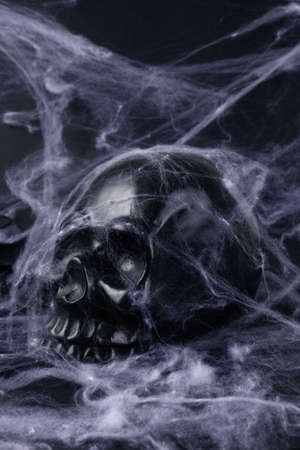 still life of black skull with cobwebs black backgroundの写真素材