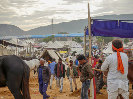Pushkar, Rajasthan India - November 05, 2019 : horses gathered for trade at Indiaâ€™s top...
