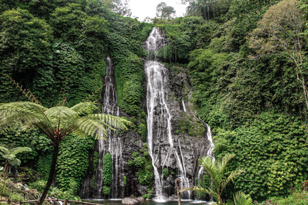 Beautiful waterfall in Bali. Banyumala waterfall in the forest. Water running and small lake under in the middle of the trees. Beautiful nature and holidays.の写真素材