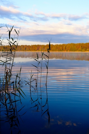 Landscape with the lake. Sunny day on the lake. Beautiful landscape. Water smooth surface of the lake.の写真素材