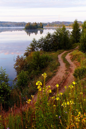 Dirt road near the lake.