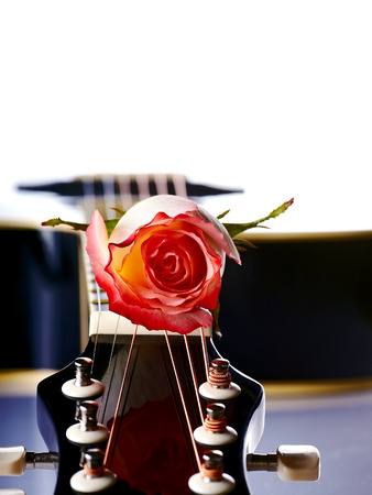 Musical instrument. Detail of a musical instrument. Strings on a guitar.の写真素材