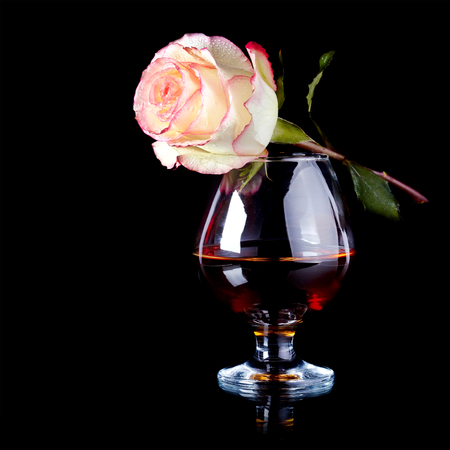 Glass and rose. Alcohol and flower. Glass with drink and a pink rose.の写真素材