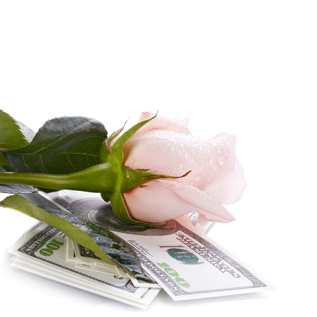 Pink rose. Pink flower. Rose and dollars. Dollars. Flowers and money. Expensive flower. Expensive gift.の写真素材