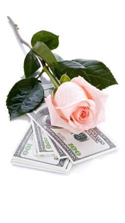 Pink rose. Pink flower. Rose and dollars. Dollars. Flowers and money. Expensive flower. Expensive gift.の写真素材