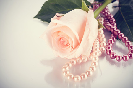 Flower of a pink rose and pearl beads.の写真素材