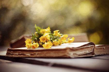 Old open book and small bouquet of buttercups.の写真素材