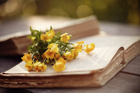 Old open books and yellow buttercups on a wooden table.の写真素材