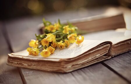 Old open book and yellow buttercups on a wooden table.の写真素材