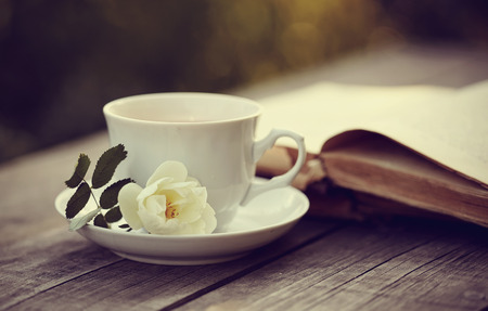 Old open book and a cup with a white wild rose on a wooden table.の写真素材