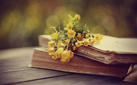 Bouquet of yellow buttercups on old books on a wooden table.の写真素材