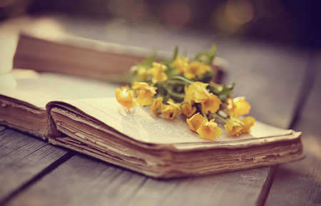 Old open book and yellow buttercups on a wooden table.の写真素材