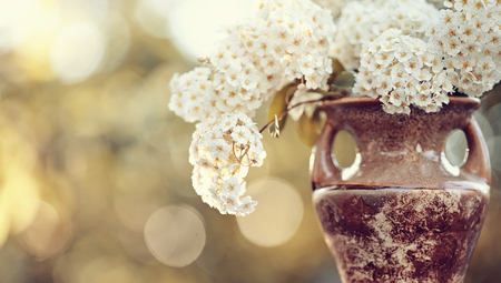 Bouquet of spirea flowers in a vaseの写真素材