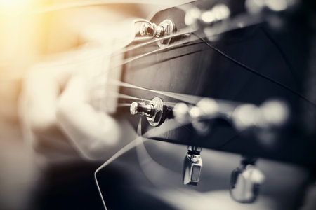 Musical instrument. Detail of a musical instrument. Strings on a guitar.