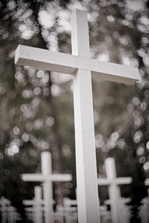 White crosses at the military Lutheran cemetery.の写真素材