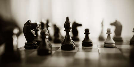 Wooden chess pieces on the chessboard. Intellectual game -chess. Chess pieces on the Board.の写真素材