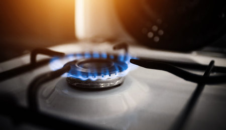 Kitchen modern gas cooker with burning fire propane gas. Gas stove. Blue flames on gas stove burner...