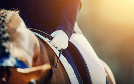 A rider's hand in a white glove with a rein. Pigtails on neck sports horse. Horse ears and braided bangs. Equestrian sport. Dressage of horses in the arena. Horseback riding.の写真素材
