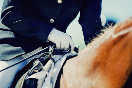 A rider's hand in a white glove with a rein. Equestrian sport. Dressage of horses in the arena....