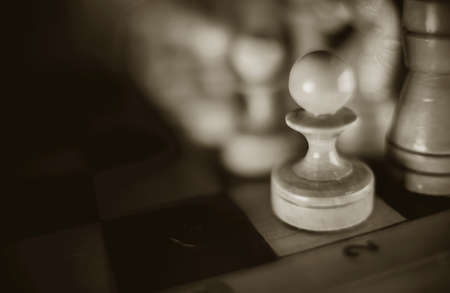 White's pieces on the chessboard, top view. Wooden chess pieces on the chessboard. Intellectual game -chess. Chess pieces on the Board. A game of chess.の写真素材