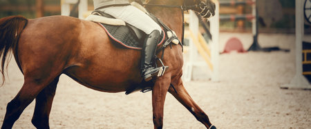 Equestrian sport. Galloping horse. Dressage of horses in the arena. The legs of a horse galloping, rear view. The leg of the rider in the stirrup, riding on a horse. Overcome obstacles. Jumping competition. Show jumping. Horseback riding.の写真素材