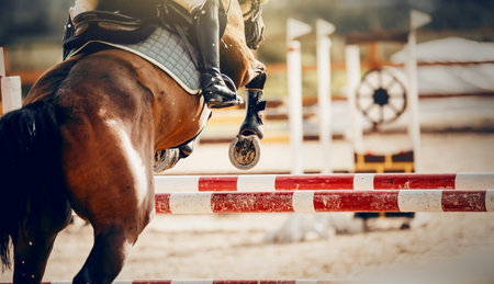 The shod hooves of a horse over an obstacle. The horse overcomes an obstacle. Equestrian sport,...