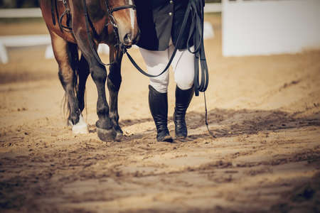 Feet sports horse and rider after the competition. Equestrian sport. Dressage of horses in the arena.の写真素材