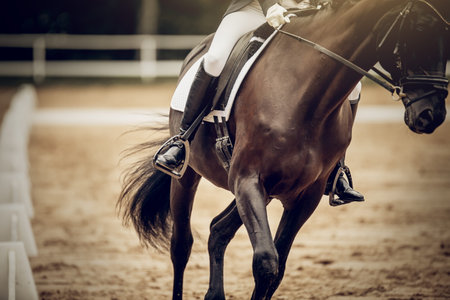 Equestrian sport. The leg of the rider in the stirrup, riding on a horse. Stirrup close-up. Dressage...