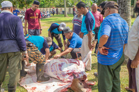 Muadzam Shah, Malaysia - SEPTEMBER 1st , 2017: Malaysian Muslim worked together skinning beef before distribute to the poor and community during Eid Al Adha ,the Feast of Sacrifice or Qurbanのeditorial素材