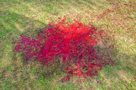 Cow's blood in halal slaughtering of cows during Eid Al-Adha Al Mubarak, the Feast of Sacrifice or Qurbanのeditorial素材