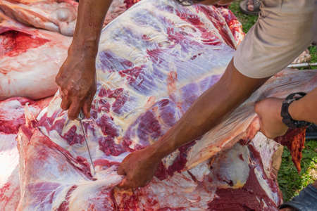Unidentified Malaysian Muslims help each other preparing in halal slaughtering of cows during Eid Al-Adha Al Mubarak, the Feast of Sacrifice or Qurbanのeditorial素材