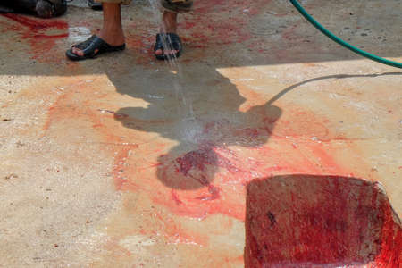 Muadzam Shah, Malaysia â September 1st, 2017 : Unidentified  men clean the blood in halal slaughtering part of a cow during Eid Al-Adha Al Mubarak, the Feast of Sacrifice or Qurban.のeditorial素材