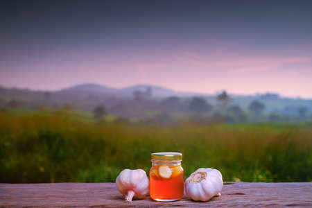 Fresh honey in a jar and garlic on old wooden table with nature background. Natural medicineの写真素材