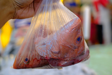 Close up of fresh red sniper  at the fish market