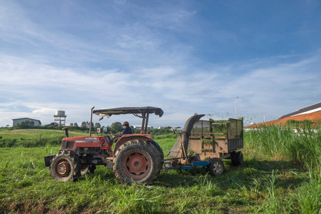 Muadzam Shah, Malaysia â€“ Disember 6th  , 2017 :  Tractor mowing pasture for silage at The...