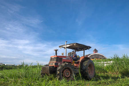 Muadzam Shah, Malaysia â Disember 6th  , 2017 :  Tractor mowing pasture for silage at The First Dairy Farm Sdn Bhd, Muadzam Shah, Pahang, Malaysia.のeditorial素材