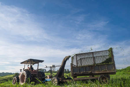 Muadzam Shah, Malaysia â Disember 6th  , 2017 :  Tractor mowing pasture for silage at The First Dairy Farm Sdn Bhd, Muadzam Shah, Pahang, Malaysia.のeditorial素材