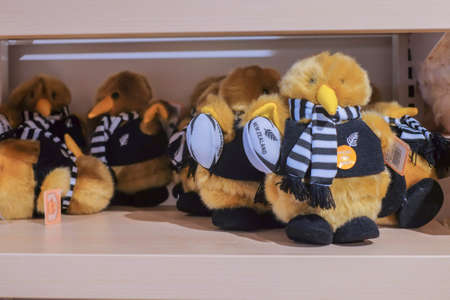 CHRISTCHURCH , NEW ZEALAND - DECEMBER 19th ,2017 : Man holding kiwi souvenir for sale in DF Souvenir.のeditorial素材