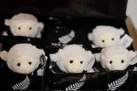 Christchurch, New Zealand â December 19th, 2017 : Sheep souvenir in DP Souvenir shop in Christchurch, New Zealand.のeditorial素材